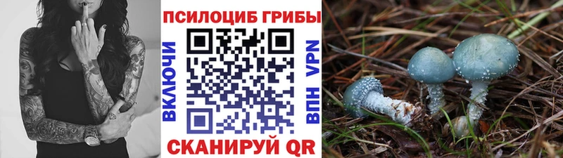 Псилоцибиновые грибы прущие грибы  Ступино 